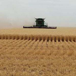 Meet your Posher, Stacie